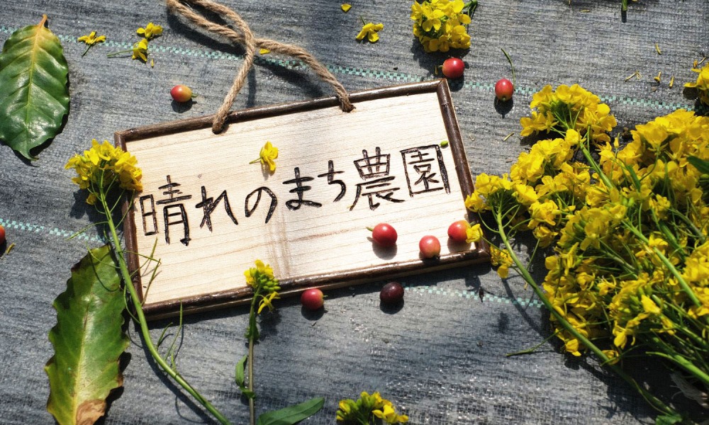 晴れのまち農園なのはな